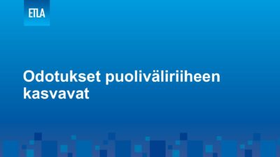 Lataa: Suhdannewebinaarin esityskalvot